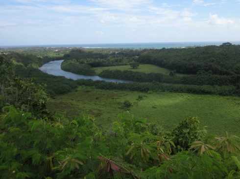 Wailua river